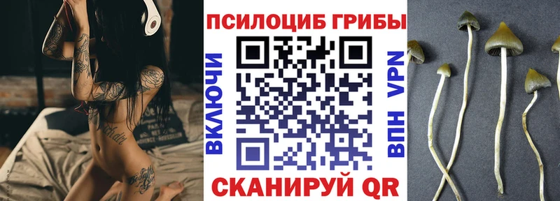 дарнет шоп  Отрадный  Псилоцибиновые грибы прущие грибы 